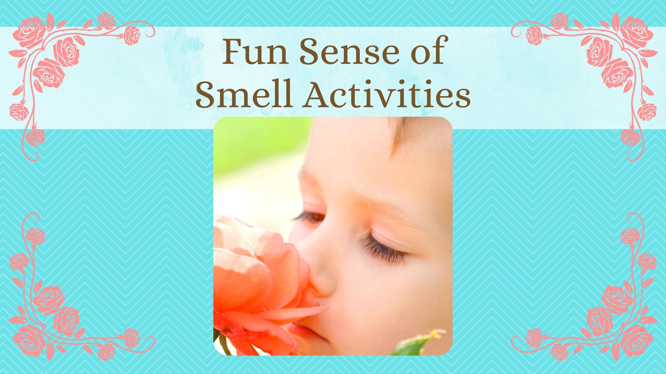 8 Fun Sense of Smell Activities for 1st Graders - More Than Just Reading